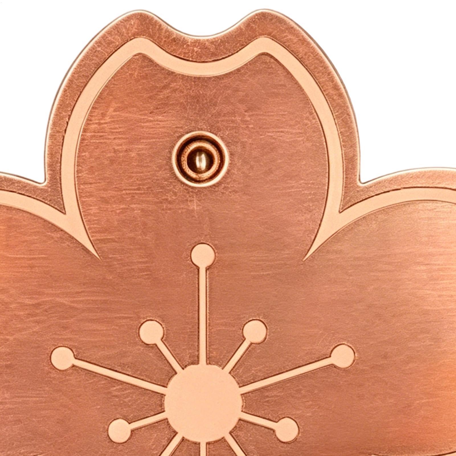 Placa de cobre purificadora se - Watches & Jewelry Lvmh reseña y precio